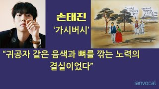 손태진'가시버시' 이안의분석영상 편집본입니다