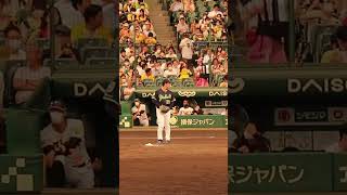 ヤクルトスワローズ小川泰弘投手のピッチング　22.7.29阪神対ヤクルト