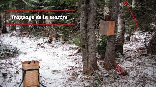 Trappage de la martre au Québec