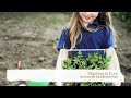 what is plantable seed paper