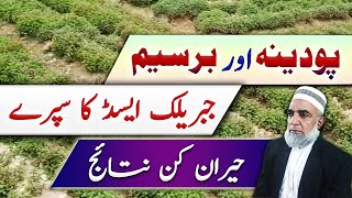 Use of Gibberellic acid in Mint and Berseem crops || Crop Reformer