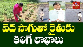 వెద పద్ధతిలో కలిగే ప్రయోజనాలు | Benefits of Veda Farming | Jakkula Tirupati Suggestions | hmtv Agri