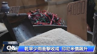 印尼米價飆升 政府擴大補貼增加進口｜中央社影音新聞