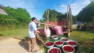 THỊT SIÊU LỢN NÁI CHIA MÔ & LÀM MÂM GỎI CHÂN GIÒ TIẾT CANH ĐÔNG CỨNG | Nhịp Sống Thường Ngày