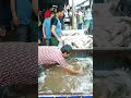 The man triyed to sell fish at fish market