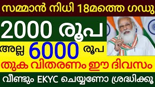 കിസാൻ സമ്മാൻ നിധി പതിനെട്ടാമത്തെ കിട്ടും 2000 രൂപ അല്ല 6000 രൂപ സന്തോഷവാർത്ത തുക ഈ ദിവസം കിട്ടും