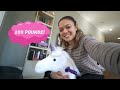 britt reviews the power pony a hoverboard and pony in one