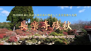 【4K空撮：DJI AIR2S】長楽寺残秋  Choraku-ji Temple in late autumn 2022