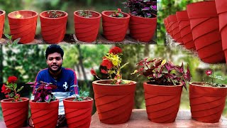 ഇനി ആർക്കും ഉണ്ടാക്കാം ചെടിച്ചട്ടി/How to make cement pot at home/ Tricks and Tips of pot making