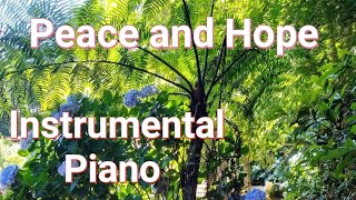 Soothing Music to Calm and Pacify | 1 Hour of Instrumental Piano