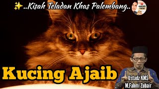 The Story of the Magic Cat, Palembang's Typical Exemplary Tausiah, Think Before You Get Lost