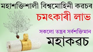 সৰ্বশক্তিশালী বিশ্বমোহিনী কবচৰ চমৎকাৰি লাভ। Assamese vaastu|Gubin Rajkhuwa|#vastu #vastutips#mantra