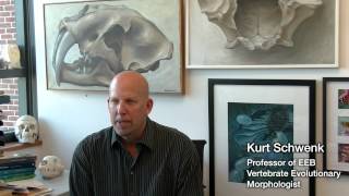 UConn Ecology and Evolutionary Biology