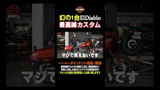 世界限定1500台!最高峰カスタムLow Rider® El Diablo　本編は概要欄よりご覧頂けます。#shorts #harleydavidson #ハーレーダビッドソン成田幕張