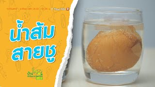 น้ำส้มสายชู : บ้านนักวิทยาศาสตร์น้อย (15 พ.ค. 64)