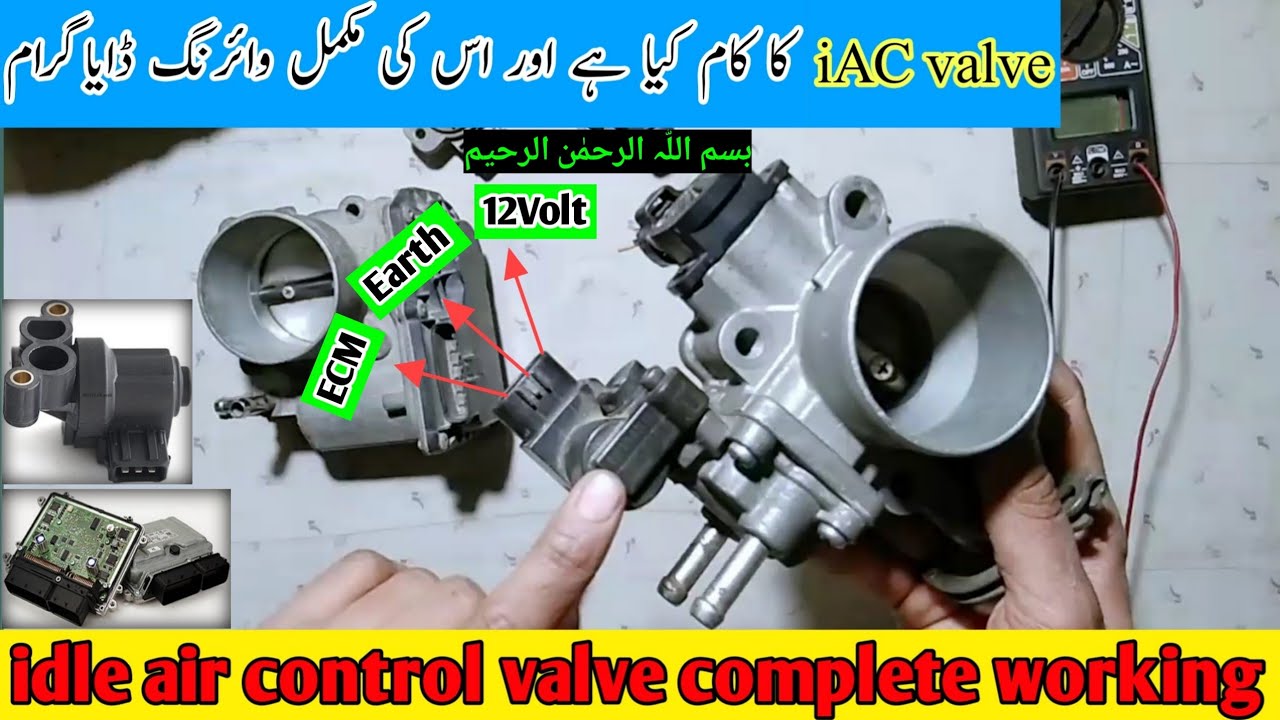 How To Test Idle Air Control Valve P0505 HD | How To Adjust IAC Valve ...