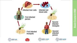 09_Introduction to Epidemiological Concepts in VBD