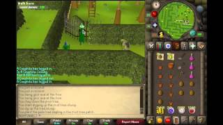 Osrs Farming Guide Part One Trees Fruit Trees