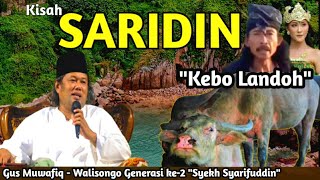 Sejarah "SARIDIN" Syekh Jangkung "Kebo Landoh" ¦ Gus Muwafiq 2023