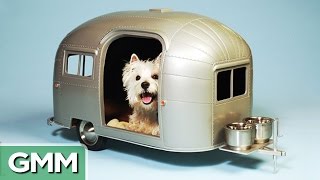 17 Extreme Pet Homes