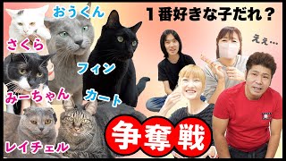 【逆争奪戦】ココロマン家の猫たち（にゃんず）です💛今日は飼い主に１匹選んでいただきますにゃん！