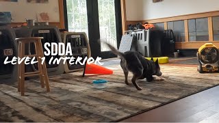 SDDA Scent interior search