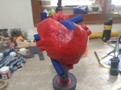 HOW TO MAKE A HUMAN HEART REALISTIC MODEL FOR PROJECT PURPOSE HOW TO MAKE A HUMAN HEART REALISTIC MODEL FOR PROJECT PURPOSE