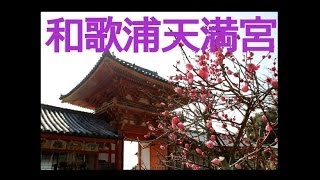 和歌浦天満宮 和歌浦 界隈 和歌山市 Temmangu Shrine Wakayama