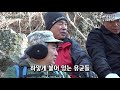 대구 야생버섯 산행 소나무옷솔버섯 cut 12월 첫째주