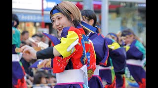 20241013東京よさこい2024（月光◎朝陽）アゼリア通り【ＨＤ・原画４Ｋ】