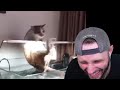 SSundee and his friends react to funny animal moments