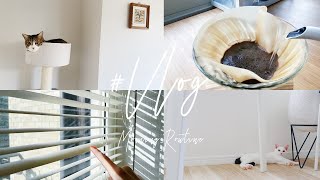 【Vlog】OLと猫の仕事がある日のモーニングルーティン｜平日Vlog〔夫婦2人暮らし／猫と暮らすインテリア／朝の過ごし方〕