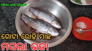 Rohi fish fry Masala |Gota Rohi Macha Masala Bhaja