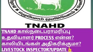 TNAHD கால்நடைபராமரிப்பு உதவியாளர் PROCESS என்ன?காலியிடங்கள் அதிகரிக்குமா?LIVESTOCK INSPECTOR?UPDATE👍