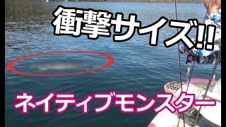 これぞ芦ノ湖のブラウントラウト！衝撃の魚体！／HartDesign TV(ハートデザインTV) 【Vol.144】