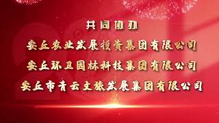 2025安丘市春节联欢晚会即将在灯火璀璨中华彩绽放