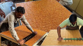 PEANUT CHIKKI MAKING | Moong Phali Jaggery Bars | Till Chikki Recipe - Pakistani Street Food Vendors