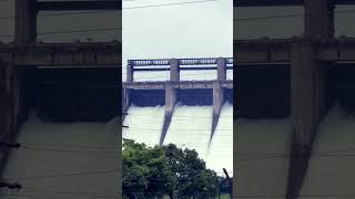 Bhadra dam gates open for let out of water #monsoon #rain #malnad #chickmagalur #shimoga #river