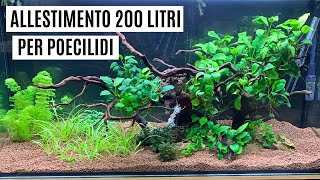 ALLESTIMENTO ACQUARIO DA 200 LITRI PER POECILIDI 🐠💦 Idromax 200 Zolux