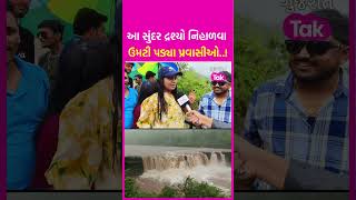 Gujarat Rains: Gira Dhodh ના અદભૂત નજારોને નિહાળવા પ્રવાસીઓ ઉમટી પડ્યાં | SHORTS