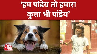 Lucknow News: रिहाई के बाद बोला Dog Owner, 'थोड़ा शरारती है, इसलिए काट लिया' |  Latest News