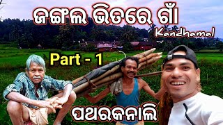 ଜଙ୍ଗଲ ଭିତରେ ଗାଁ ପଥରକନାଲି Part - 1 | ସ୍ଵାଧୀନତାର 78 ବର୍ଷ ପରେ ବି ❌ବିନା Network ରେ ବିତୁଛି ଜୀବନ Kandhamal