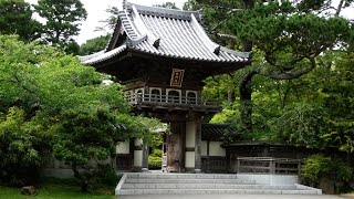 Japan's Organic Architecture