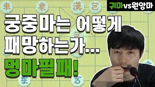 [실전 9단 장기] 궁중마는 어떻게 패망하는가... 멍마필패!