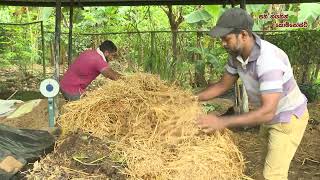 Agriculture | Aduma kalayakin compost | e-thaksalawa