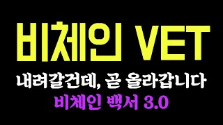 비체인 VET [속보] 비체인 백서3.0, \