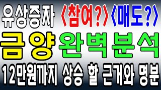 금양 [유상증자 4500억 참여? 매도?]  12만원까지 상승 할 근거와 명분