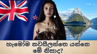 නවසීලන්තය ගැන විශේෂ තොරතුරු | New Zealand facts Sinhala | Geography