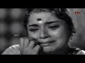 chandrodayam mgr jayalalitha nagesh manorama superhit tamil movie 4k video