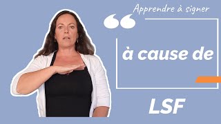 Signer A CAUSE DE en LSF (langue des signes française). Apprendre la LSF par configuration